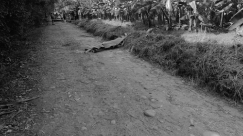 Asesinan a balazos a dos jornaleros guatemaltecos en M&eacute;xico