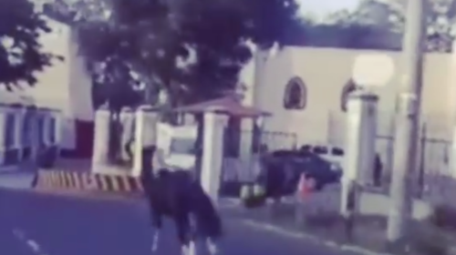 PMT busca a un caballo que entorpece tr&aacute;nsito de la zona 11