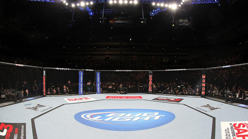 P&uacute;blico enfurece por anulaci&oacute;n de pelea que dur&oacute; 15 segundos 