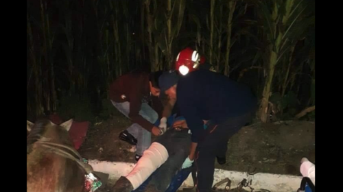 Carro atropella a un caballo y dos personas en plena carretera