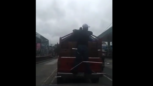 Graban la forma en que opera banda de ladrones en La Terminal