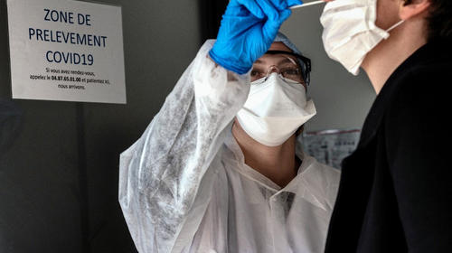 "Bilis de oso", polémica medicina que China usa contra Covid-19