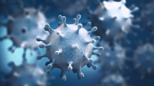 Toman la primera foto del coronavirus en Argentina