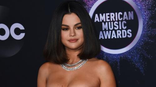 Así es como Selena Gomez invita a adoptar perros en la cuarentena