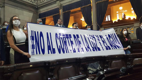 Diputados rechazan el veto a la ley que prohíbe cortar servicios