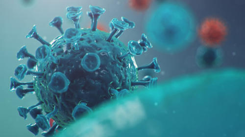 OMS asegura que efectos del Covid estar&aacute;n presentes por d&eacute;cadas