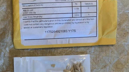 &iquest;Qu&eacute; hay detr&aacute;s de los paquetes con semillas de China para EEUU?