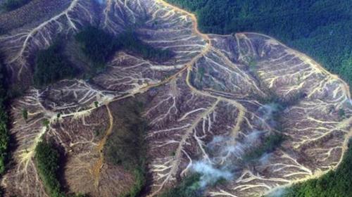 Científicos predicen el colapso de la civilización en 40 años