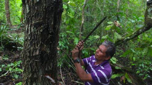 National Geographic exalta la labor de los &ldquo;Guardianes de Pet&eacute;n&rdquo;