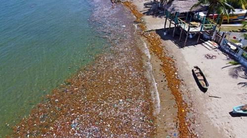 El r&iacute;o Motagua arrastr&oacute; basura hacia playas de Honduras