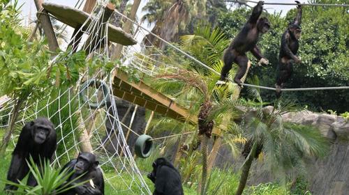 ¿Es seguro ir al Zoológico La Aurora? Esto dice el Gobierno