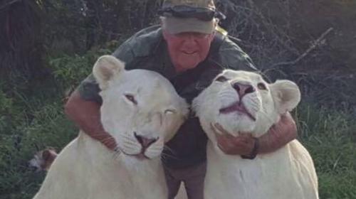 Conservacionista africano muere atacado por sus dos leonas 