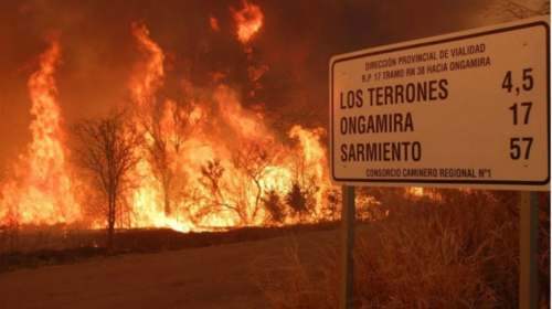 Hallan imagen intacta de Virgen Mar&iacute;a tras incendios en Argentina