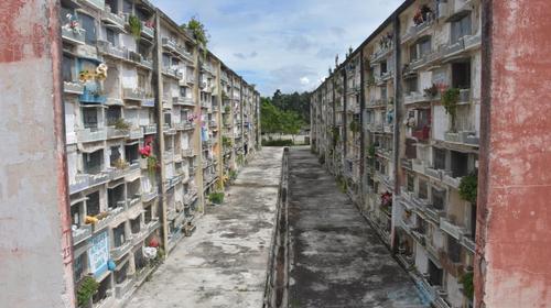 Las nuevas disposiciones en los cementerios para fin de año