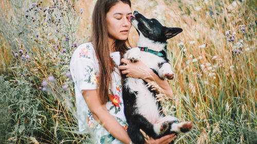 Esto quiere decir tu perro cada vez que te lame