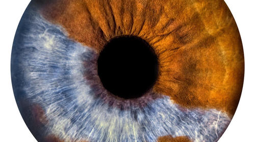 Guatemalteco capta el iris de tus ojos y lo transforma en arte