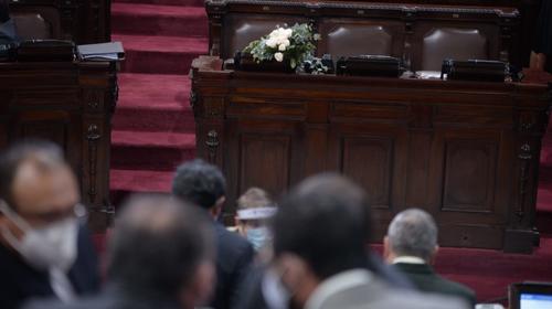 Los homenajes póstumos a la diputada Adela de Torrebiarte