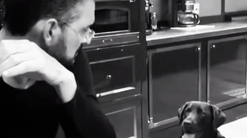 Arjona protagoniza simpática "pelea" con su perrita (video)