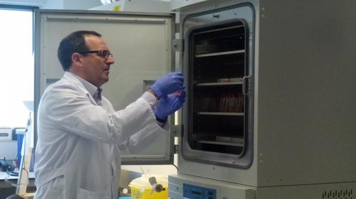 Covid-19: Científico dice que mutaciones podrían afectar vacuna