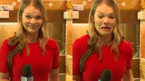 Serpiente ataca micr&oacute;fono de reportera durante enlace en vivo
