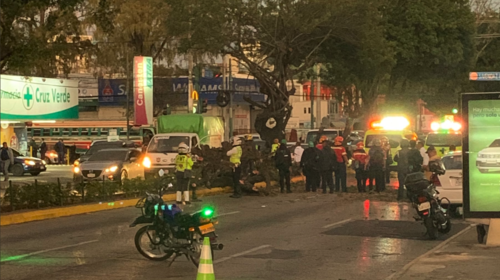 Video: As&iacute; se desplom&oacute; el &aacute;rbol en la calle Mont&uacute;far