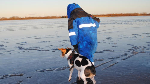 Mujer se tira a estanque congelado para salvar a su perro 