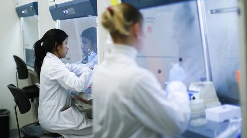 Gobierno confirma que no hay casos de coronavirus en Guatemala