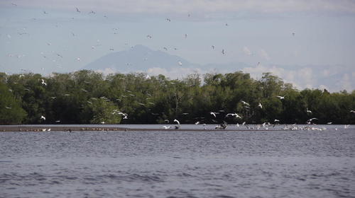 Presentan denuncia por contaminación en reserva natural