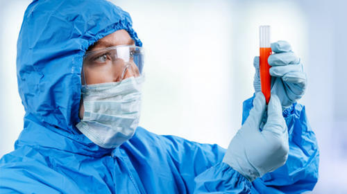 Peste negra: S&iacute;ntomas, transmisi&oacute;n y tratamiento