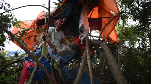 La casa del árbol de la Roosevelt destruída tras un incendio