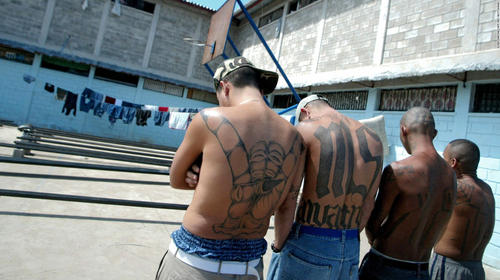 EE.UU. acusa de terrorismo a un miembro de la pandilla MS-13