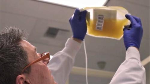 Pacientes Covid han sido beneficiados con transfusi&oacute;n de plasma
