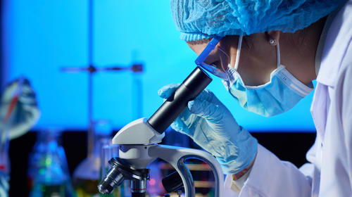 Argentina aprueba ensayo de suero de caballos contra Covid-19