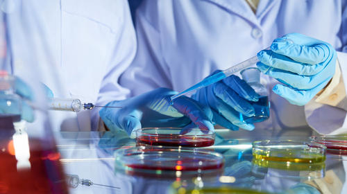 Vacuna contra covid-19 probada en monos dio resultados positivos