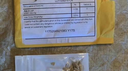 Ciudadanos en EE.UU. reciben misteriosas semillas desde China 