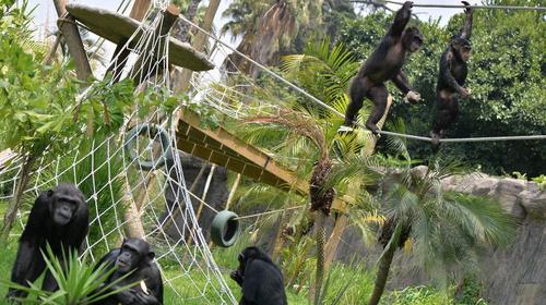 El recorrido virtual dentro del Zoológico La Aurora
