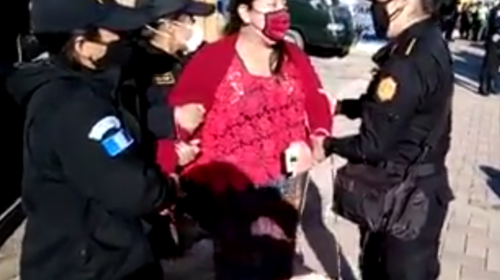 PNC captura a vendedora que intentó entrar a mercado