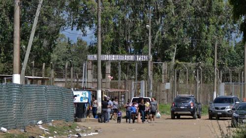 Reo muere en Pav&oacute;n y a&uacute;n se investiga la causa