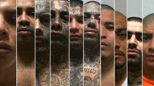 Dictamen busca que PNC use agentes encubiertos en maras