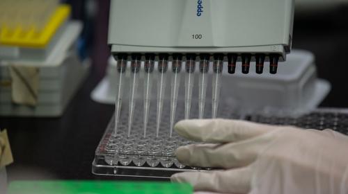 EE.UU. realiza primera prueba de vacuna contra el coronavirus