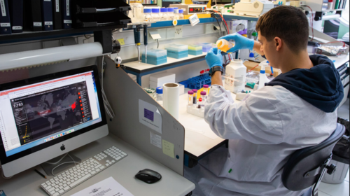 "El COVID-19 no fue creado en laboratorio", afirma nuevo estudio