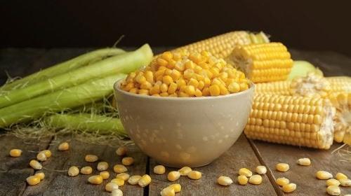 Recetas sencillas con maíz y elote para la cuarentena
