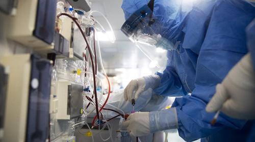 ¿Cómo surgió la confusión del ibuprofeno y el coronavirus?