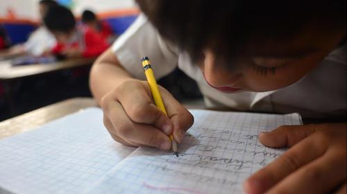 Covid-19: Diputados aprueban amnistía para pagos de colegiaturas