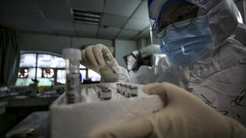 OMS pide a China que "le invite" a investigar origen del COVID-19