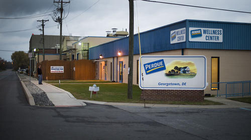 Covid-19: Migrantes obligados a trabajar en f&aacute;brica de EE.UU.