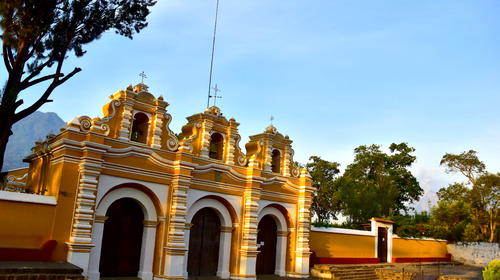 Árbol sembrado por el Hermano Pedro se desploma en Antigua