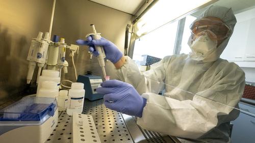 Guatemala registra 85 nuevos casos de Covid: en total hay 1,199