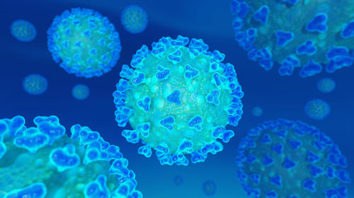 Coronavirus afecta riñones, cerebro y corazón, según un estudio