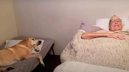 Hombre con cáncer y su mascota fallecen el mismo día en EE. UU.